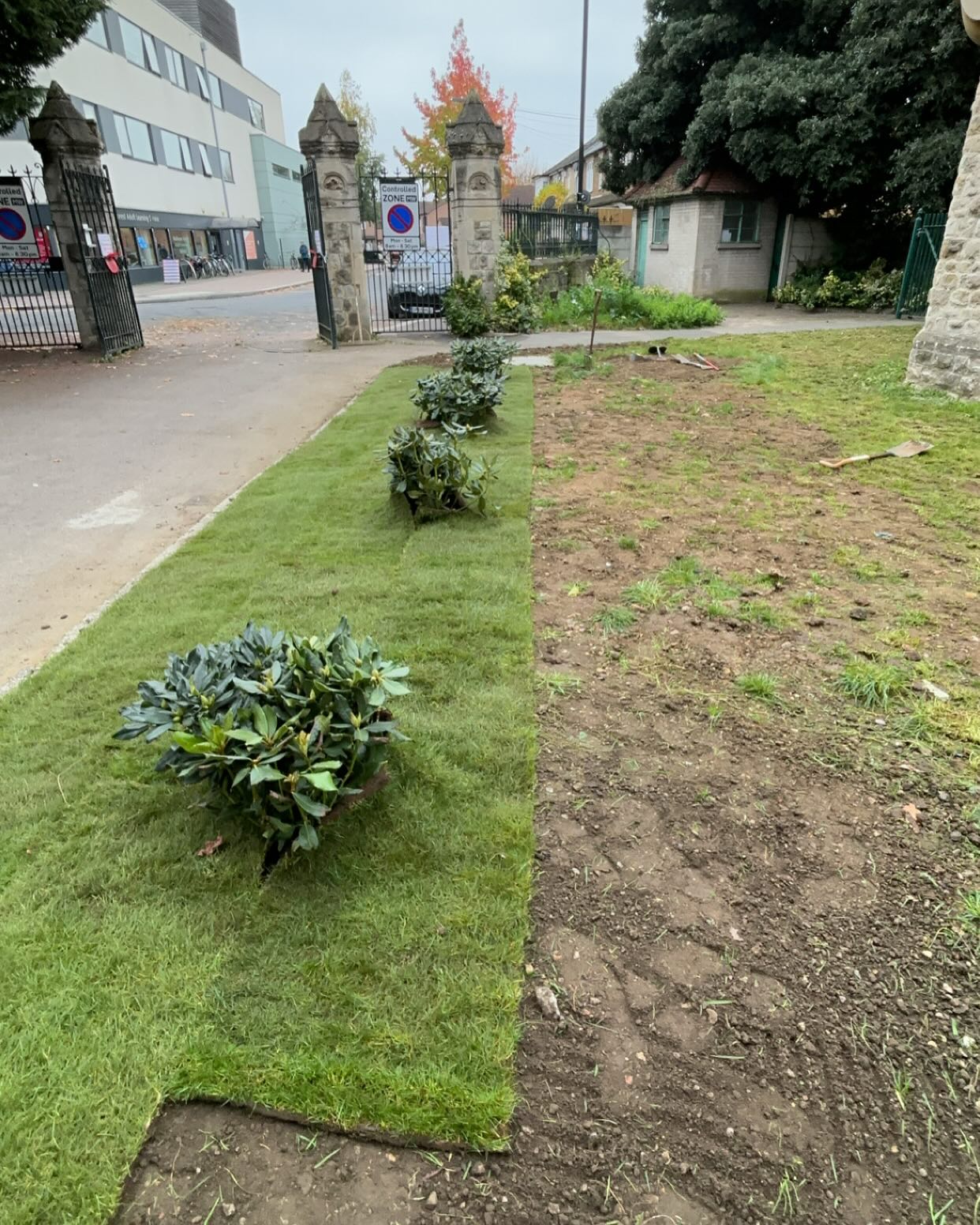 Perfectly striped lawn and neat borders in Harlow