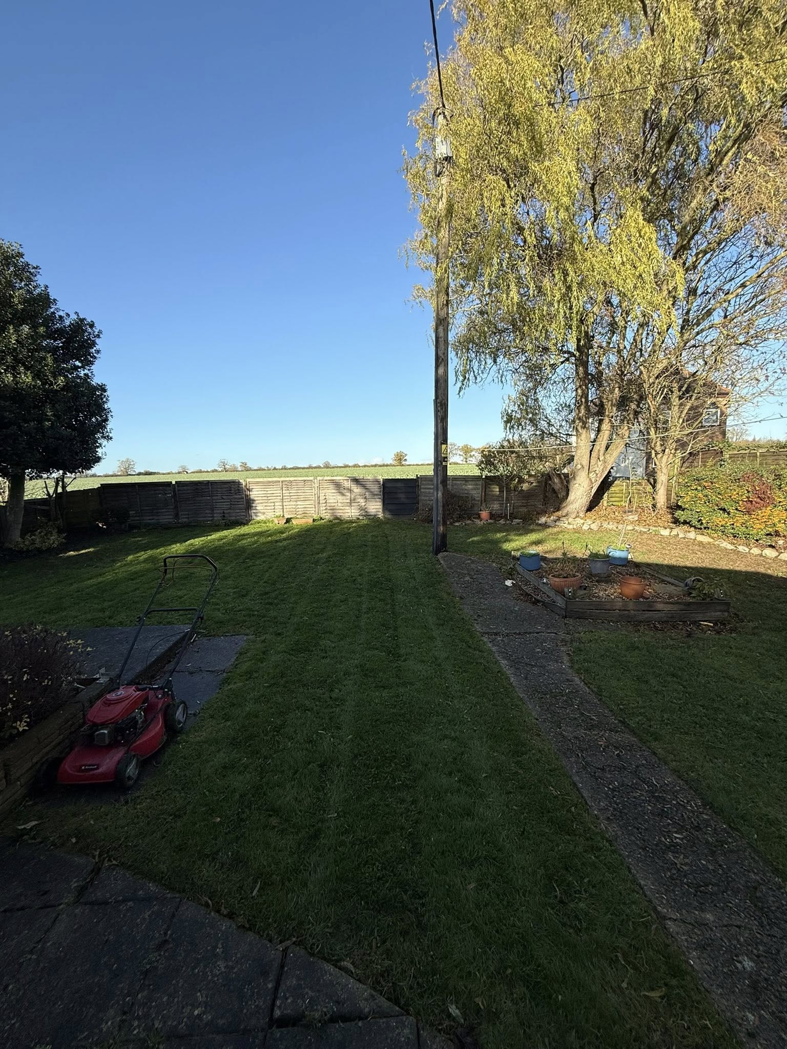 Before and after lawn mowing service