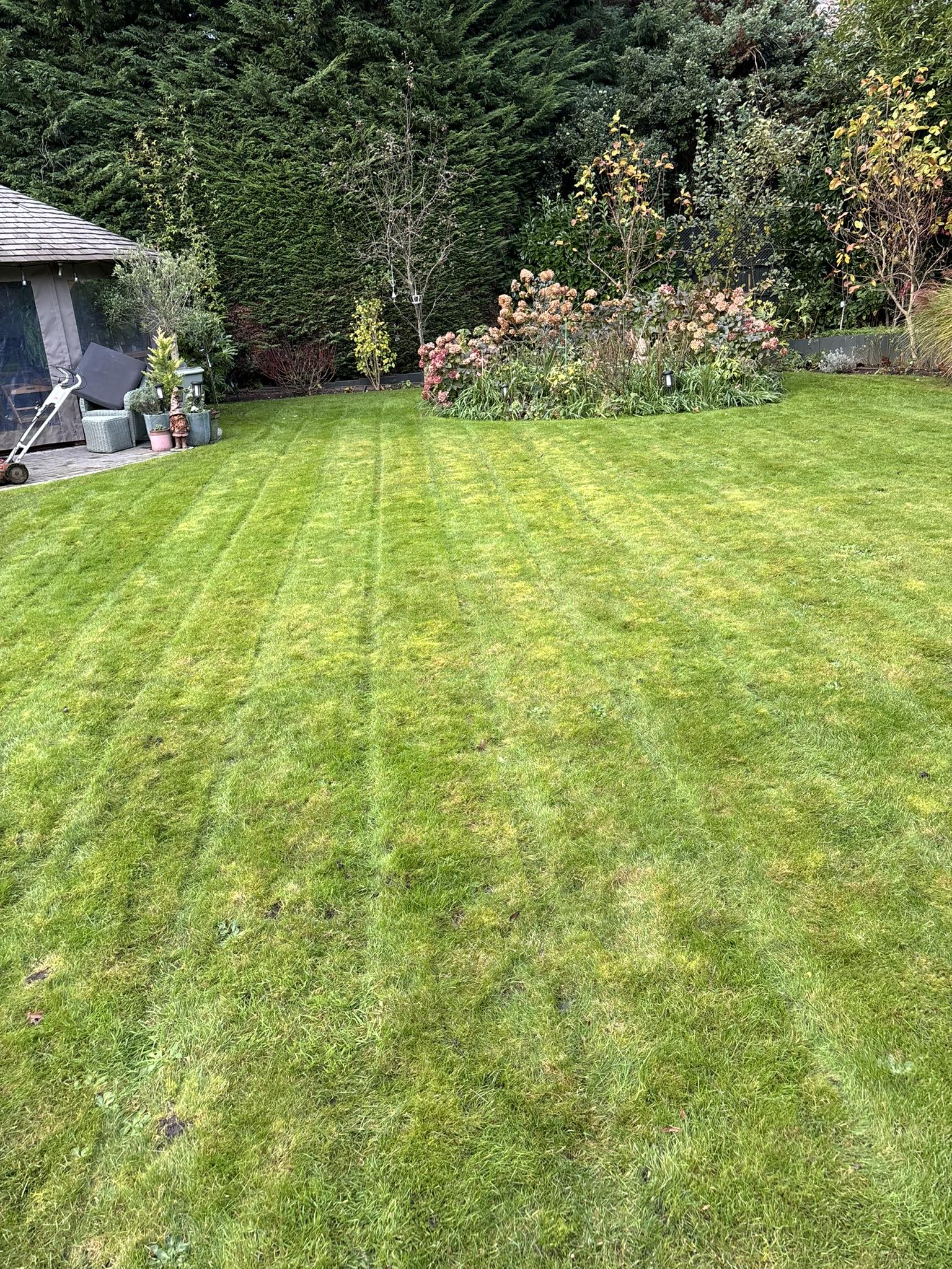 Lush green summer lawn treatment